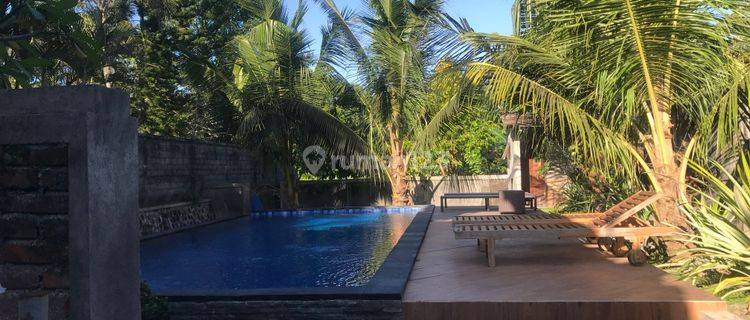 Apartment/Studio/One Bedroom (consist Of 2 Beds)  In Ubud Area For Rent 1