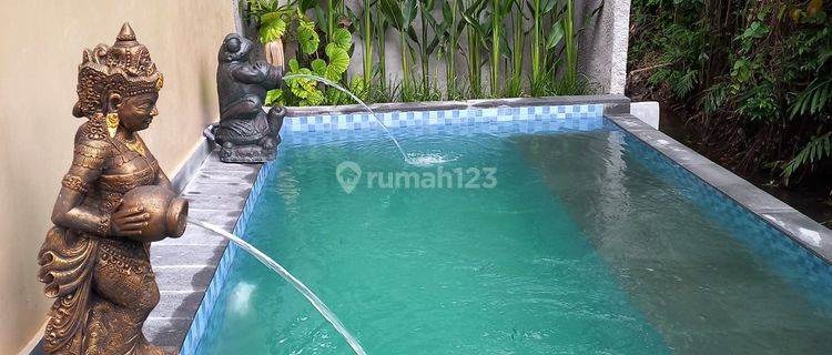 New Private Villa in Lodtunduh, Ubud 1