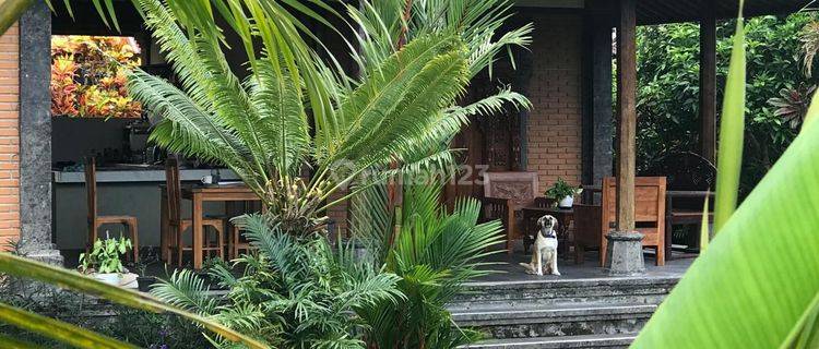 Ricefield View 2 BR Private Villa for Rent in Ubud area 1