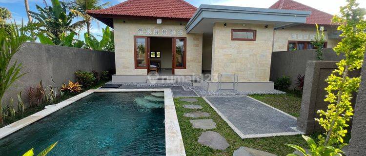 Ready private villa in ubud area, katiklantang near penestanan
 1