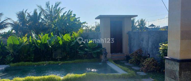 Villa with ricefield view in Sayan, near Penestanan, Ubud  1