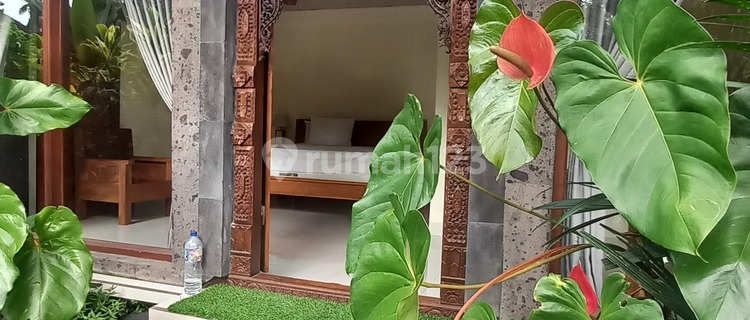 Apartment/Kost Available In Ubud 1