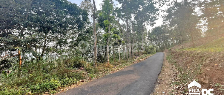 Tanah Luas View Gunung Ada Sumber Mata Air Siwarak Semarang 1