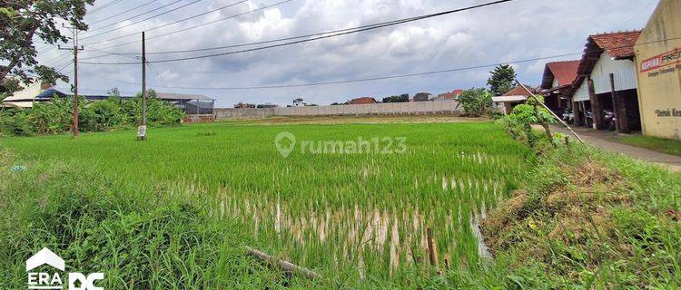 Tanah Luas Cocok Untuk Dibangun Gudang Dan Usaha Kaliwungu Kudus 1