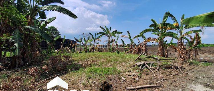 Tanah Siap Bangun di Karanganyar Demak Area Sekolah 1