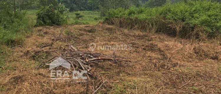 Tanah Kavling Area Perumahan Padat Penduduk Dekat Bsb Semarang 1