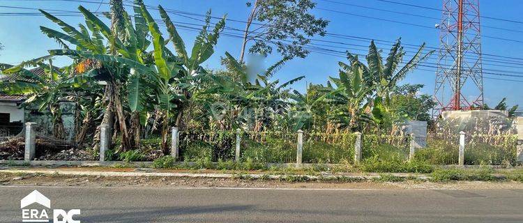 Tanah Kavling 277 M² Area Padat Penduduk Di Gendongan Salatiga 1