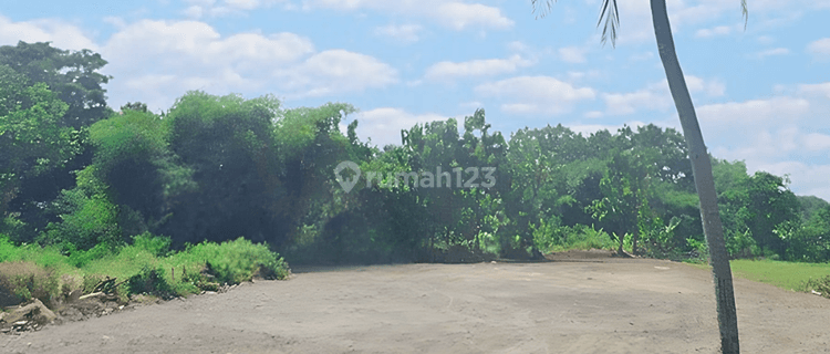 Tanah Rata Zona Industri Siap Bangun di Karangwuni Ceper Klaten 1