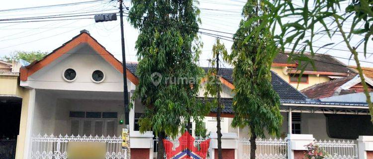 Disewakan rumah 1 lantai bagus di tlogosari  1