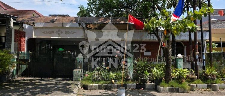 Di Jual Rumah Di Jalan Badak Raya Semarang 1