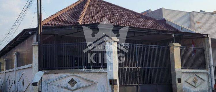 Di Sewakan Rumah Di Jalan Pekunden Semarang 1