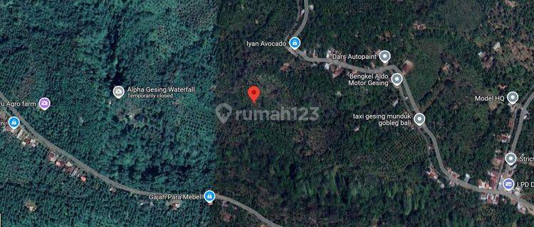 Dijual tanah di kawasan berkembang, Gesing Munduk, Singaraja 1