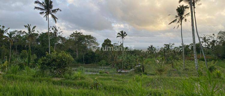 Lfh pla 027 id. Freehold Land With Stunning View Located In Plaga 1