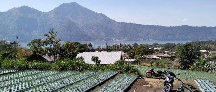 Lahan Tanah Viiew Danau Batur Area Villasangat Isitimewa Di Batur Kintamani 1