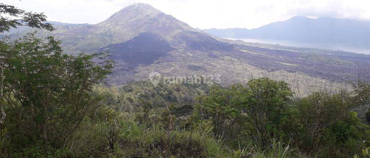 Land for rent in Batur Kintamani with mountain and lake views 1