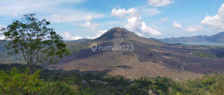 TANAH LOKASI KINTAMANI VIEW GUNUNG N DANAU SANGAT STRATEGIS 1