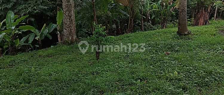 Tanah View Sawah N Lembah Di Tabanan Penatahan Jatiluwuh 1