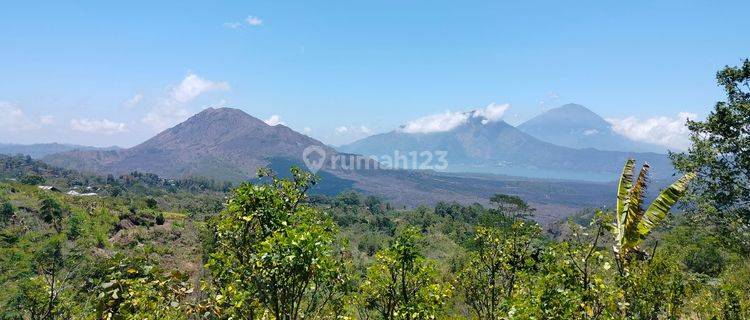 Tanah Murah View Gunung N Danau Di Kintamani Sangat Menawan 1