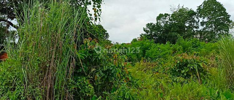 Tanah di Pusat Kota Cocok Buat Usaha Di Kota Bitung Sulawesi Utara 1