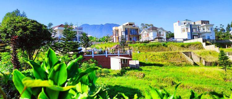 Tanah murah di puncak khas pegunungan legalitas SHN 1