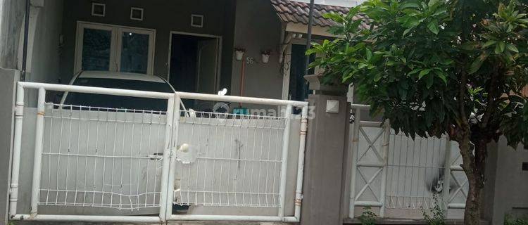 Di Sewa Rumah Murah L6 3 Kt Taman Royal I Cipondoh Garasi Canopy 1