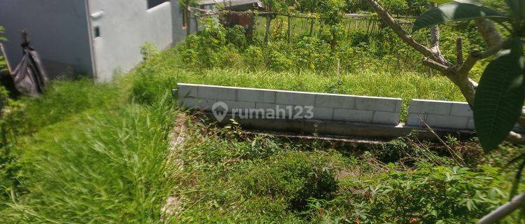 5 are Land for lease in canggu padonan  1