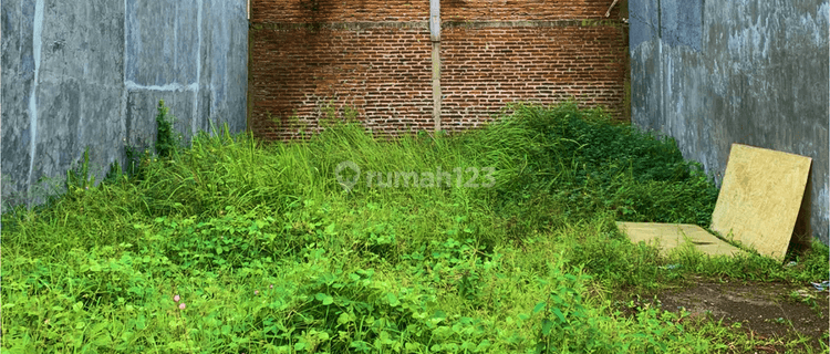 Tanah Kavling SHM di Pekalongan Dekat Dengan Pusat Kota 1