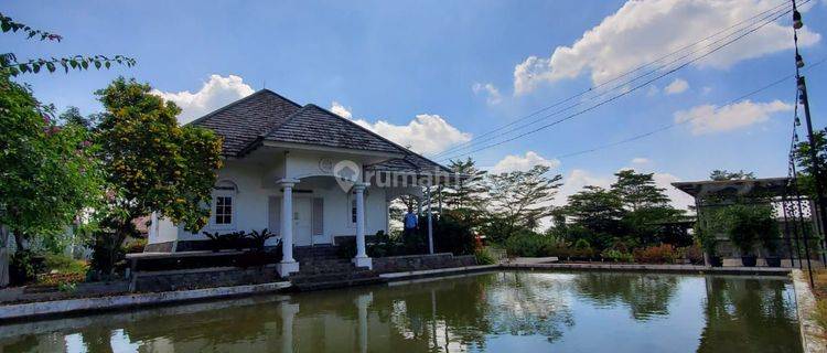 Dijual cafe dan resto 1