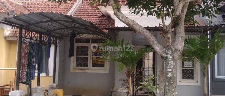 Disewakan Cepat Rumah Di Taman Besakih Butuh Renovasi 1