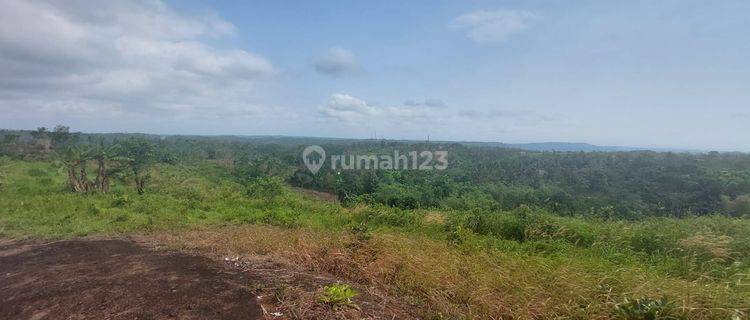 Tanah Murah 11.7 haktare Pinggir jalan desa Ciemas sukabumi 1