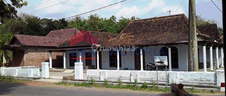 rumah pojokan cocok untuk usaha kuliner, lahan luas bisa untuk bercocok tanam, terdapat limas kayu jati. 1