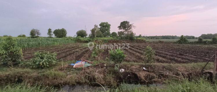 Tanah Jalan Bpk Mega Timur 28 Oktober, Kubu Raya Pontianak 1