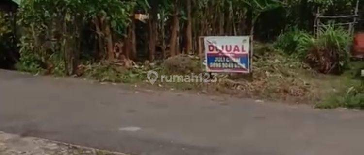 Tanah Jalan Desa Kapur Gang Haji Ali Amin, Kubu Raya Pontianak 1