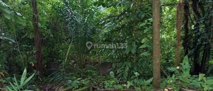 Bekas Pabrik Di Jambi Dijual 11000m2 Hanya Hitung Tanah Murahhh 1