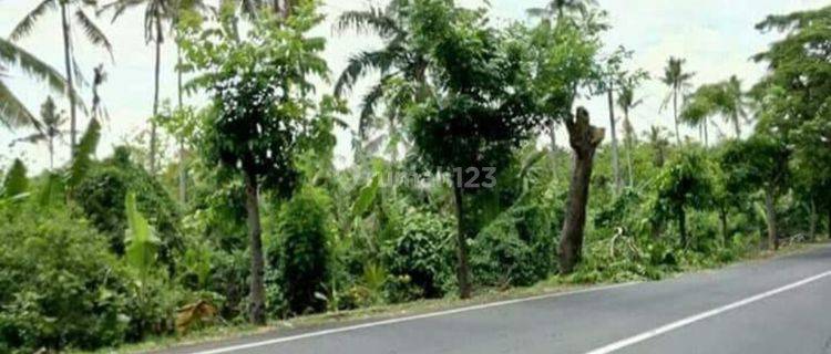 Tanah pinggir jalan utama Jalan Denpasar Gilimanuk  1