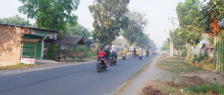 Tanah Kavling Murah Khusus Muslim Bisa Kredit di Pinggir Jalan 1