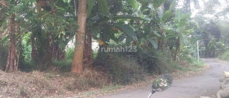 Tanah Murah Nempel Jalan Aspal di Batursari Talun Pekalongan 1