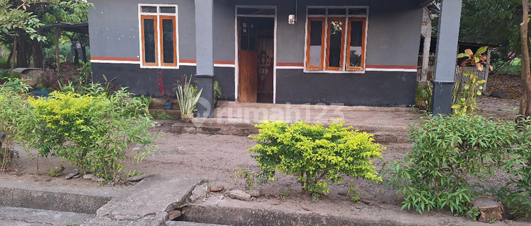 Rumah Murah Aset BRI, Adonara Barat, Kab. Flores Timur 1