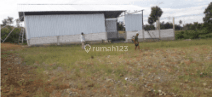 Gudang Lelang Bri, Telluwanua, Palopo 1