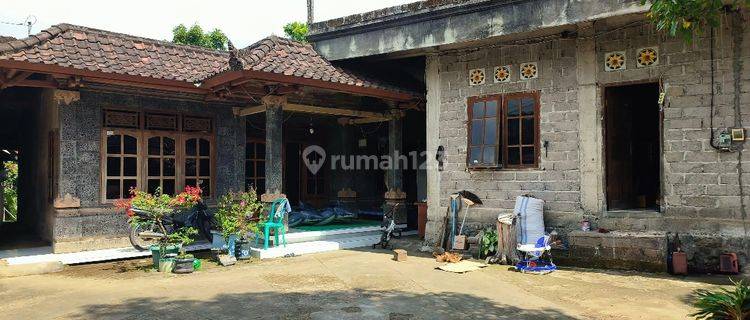 Rumah Murah Aset BRI, Busungbiu, Kab. Buleleng 1