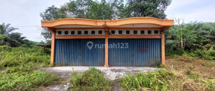Komersial Murah Aset BRI, Singingi, Kab. Kuantan Singingi 1
