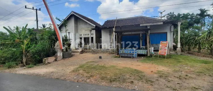 Rumah Murah Aset BRI, Bangorejo, Kab. Banyuwangi 1
