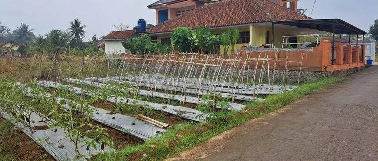 Tanah Murah Aset Bri, Cipaku, Kab. Ciamis 1