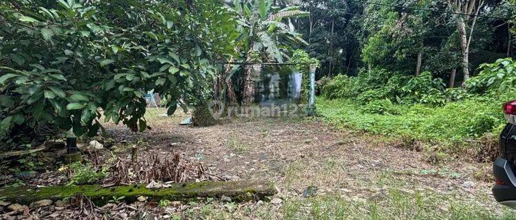Tanah Murah Aset BRI, Sungai Raya, Kab. Hulu Sungai Selatan 1