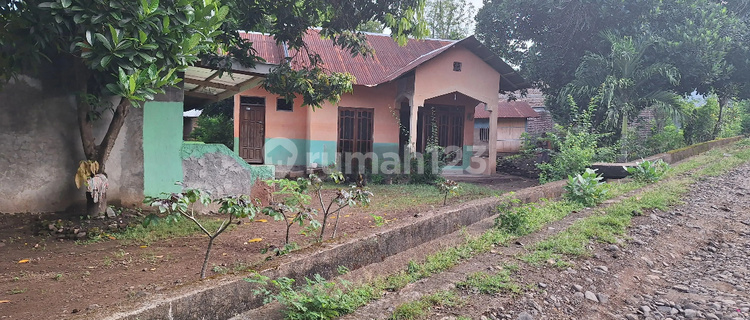 Rumah Murah Aset BRI, Nubatukan, Kab. Lembata 1