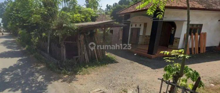 Rumah Murah Aset BRI, Paiton, Kab. Probolinggo 1