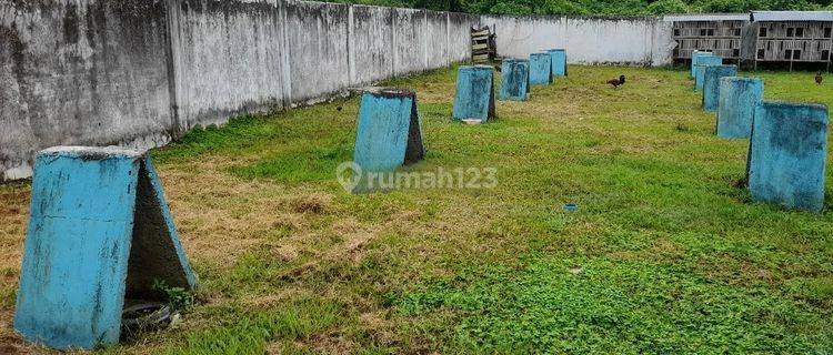 Tanah Murah Aset BRI, Suli, Kab. Luwu 1