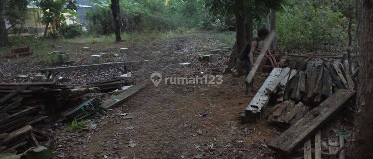 Tanah Murah Aset BRI, Kapas, Kab. Bojonegoro 1