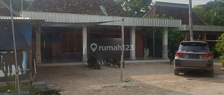 Rumah Murah Aset BRI, Kalitidu, Kab. Bojonegoro 1