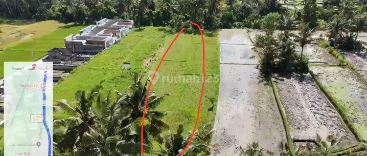 Land For Leasehold Pejeng Kangin Tampak Siring Near Inter School 1